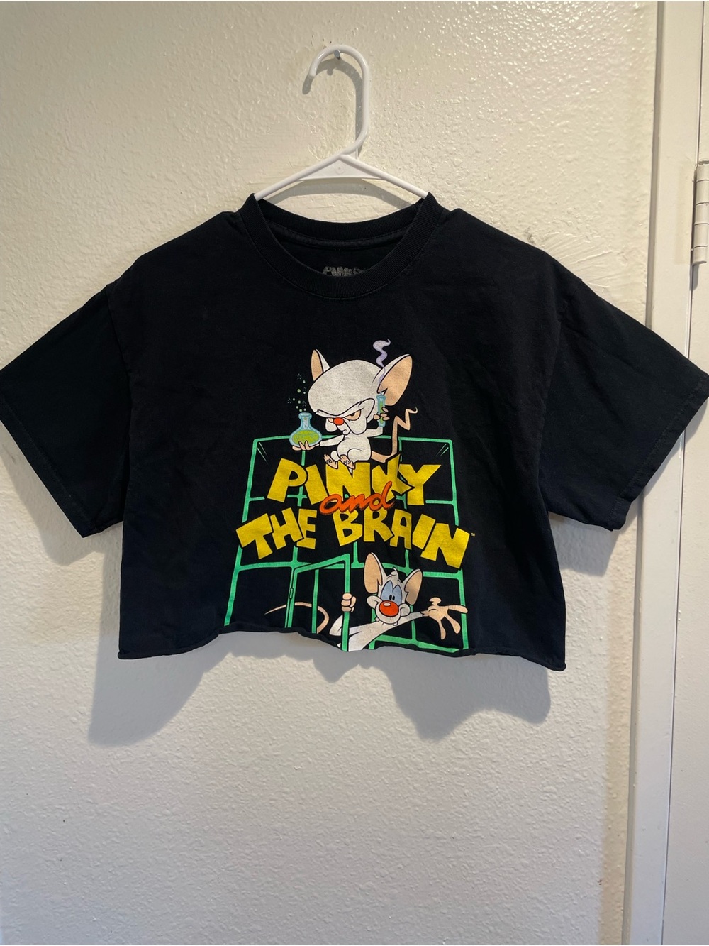 ✨ Retro 90s Vibe • Pinky and the Brain • Custom Crop Tee 🐭🧠 M